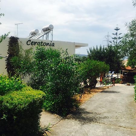 דירות מאליה Ceratonia מראה חיצוני תמונה
